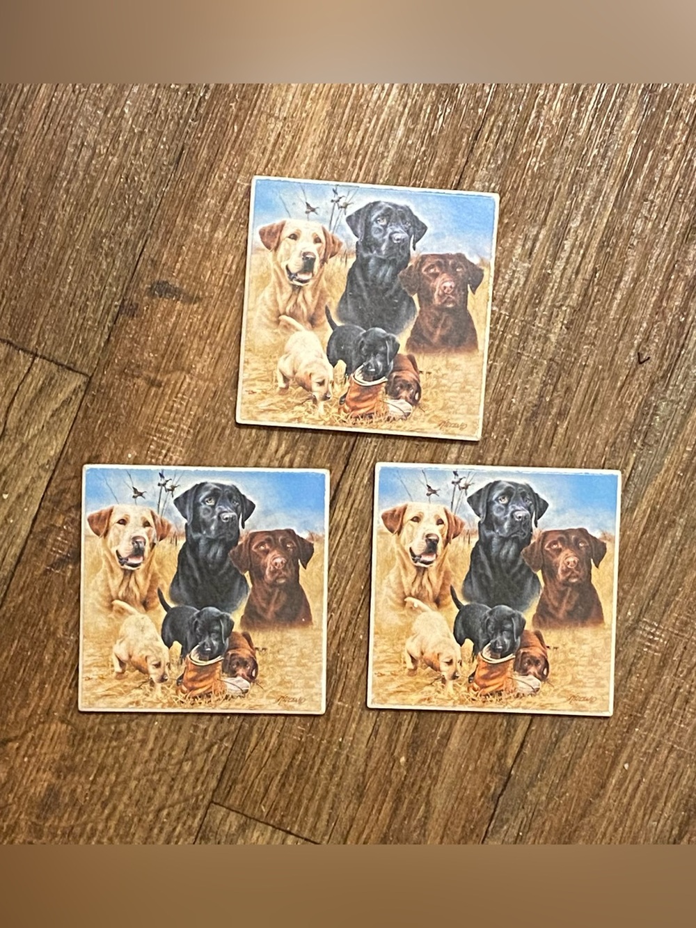 Set Lot Of 3 Ceramic Drink Coasters Labs Dogs Labrador Retrievers Marsh Masters
